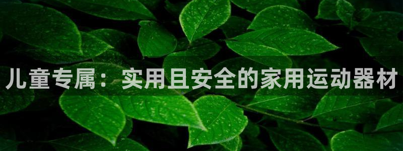南宫大舞台官方正版app娱乐下载：儿童专属：实用且安全的家用
