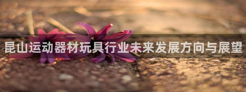 南宫大舞台官方正版app娱乐是那个系列的台子