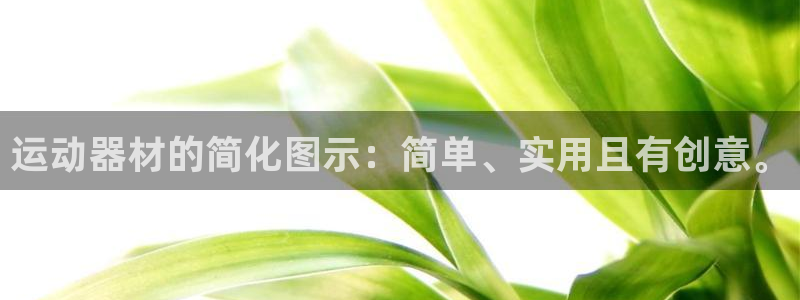南宫大舞台官方正版app集团官网网址：运动器材的简化图示：简