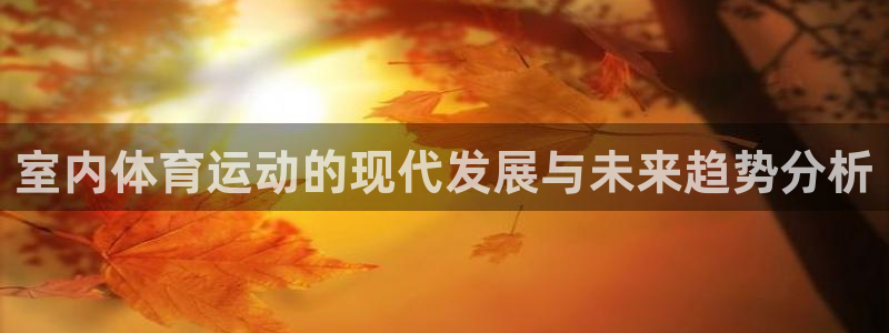 谈球吧：室内体育运动的现代发展与未来趋势分析