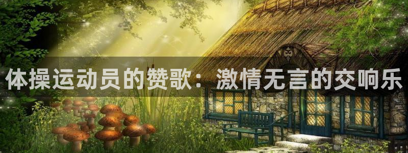 谈球吧体育：体操运动员的赞歌：激情无言的交响乐