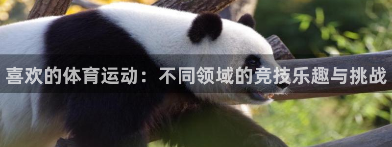 谈球吧体育：喜欢的体育运动：不同领域的竞技乐趣与挑战