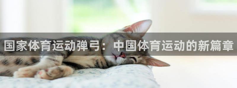 谈球吧：国家体育运动弹弓：中国体育运动的新篇章