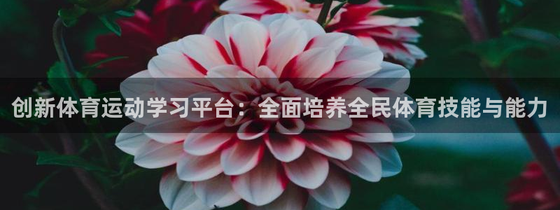 谈球吧：创新体育运动学习平台：全面培养全民体育技能与能力