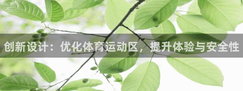 谈球吧体育官网：创新设计：优化体育运动区，提升体验与安全性