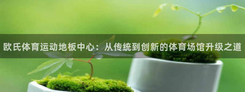 谈球吧：欧氏体育运动地板中心：从传统到创新的体育场馆升级之道