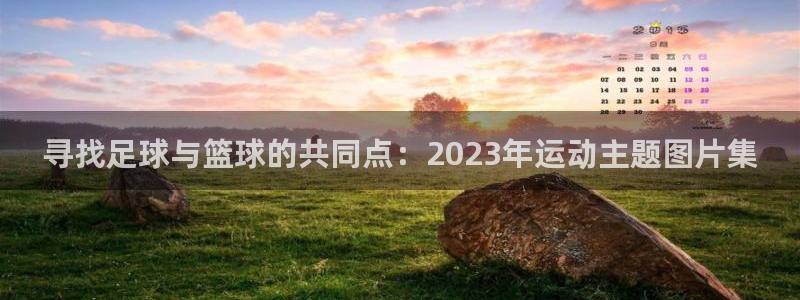 谈球吧体育官网：寻找足球与篮球的共同点：2023年运动主题图片集